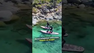 Велопрогулки прямо по воде? #бизнес #стартап #бизнесидея