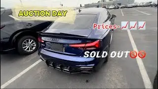 New Year’s Eve Auction day prices are crazy 