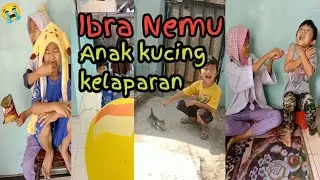 Ibra Nemu anak kucing | kumpulan video shorts Adamhawaibra prat 1