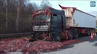 #viral daging potong berserakan di jalan tol belanda, truck rem mendadak