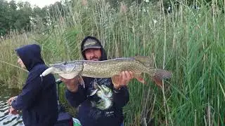Przynęta Dragon Bandit od firmy Dragon