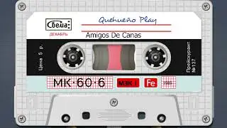 MUSICA DE RECUERDO - PAISANITA - AMIGOS DE CANAS