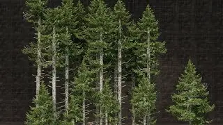 Minecraft Build Showcase - Cocricot + Conquest Reforged