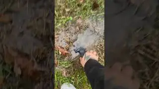 Springfield Echelon Torture Test 🔥