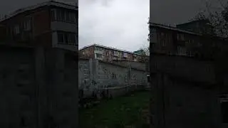 Голуби 