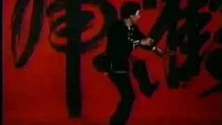 MAESTRO CHIU CHI LING tigre y grulla shaolin form
