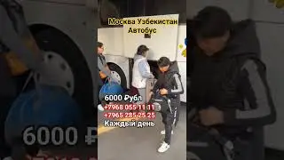 Москва Узбекистан Автобус 