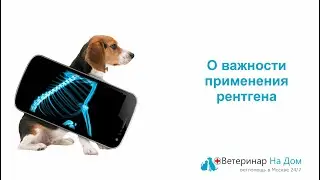 О важности применения рентгена