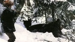 Охота на медведя  едва не стоила жизни  . Медвежья берлога. The last bear fight in the den