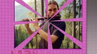 Деревянные духовые музыкальные инструменты