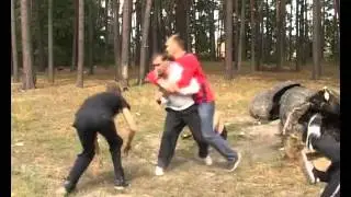 Любовь