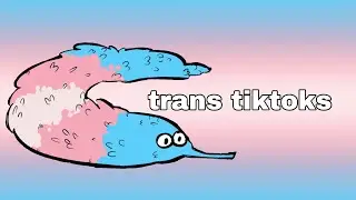 trans tiktok compilation