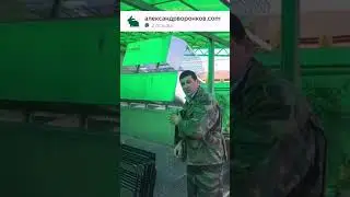 КЛЕТКИ И НЕ ТОЛЬКО