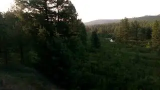 джила