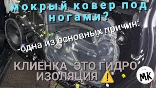 Мокрый ковер | Вода в салоне | Одна из причин