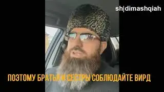 Тимон и Пумба против чеченских зикров, король лев против суфизма