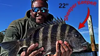 SheepsHead Fishing IN FLORIDA With THE BEST BAIT!!