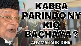 KABBAH KO PARINDON NY KIO BACHAYA? || ALLAMA TALIB JOHRI || ⓒ