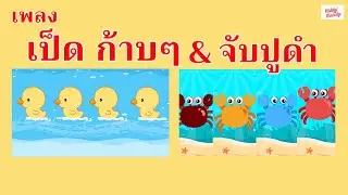 เพลงเป็ด ก้าบ ก้าบ ก๊าบ VS จับปูดำ ขยำปูนา | #เพลงเด็กเจ้าตัวเล็ก - Kiddy Melody