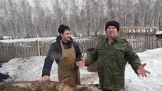 ГОСТИ НА  БИО-ФЕРМЕ МАНГАЛИЦА.