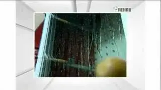 Defenster. Окна Geneo  от Rehau