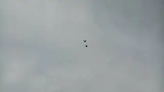 пара молодых сами с крестовина поднялись