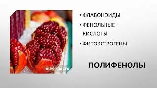 Фитохимические вещества (5 часть)