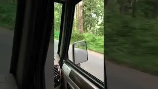 #shorts #driving