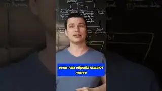 Регулярная коммуникация с клиентом - ключ к успеху