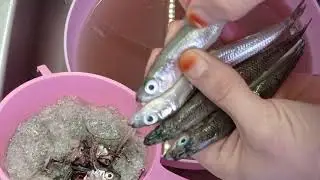 Gümüş Balığı Nasıl Temizlenir ? Tavada Nasıl Pişirilir ? Kayseri Hamsisi ve🥗