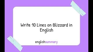 Write 10 Lines on Blizzard in English