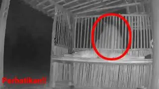 Detik detik pemuda ng3ntot dengan kuntilanak