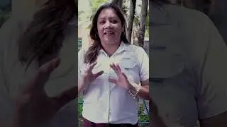 Si resides en #Cuscatlán o alrededores este video te interesa. #Cuscatlán #Cojutepeque #PGRServicios