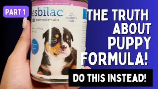 Feeding Puppy Formula? The Scary Truth