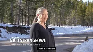 Estes Inspired: Nico StrangeOwl