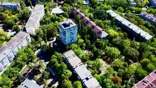 Ромашка белая