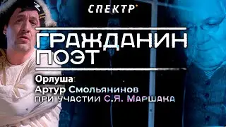 Гражданин поэт: 