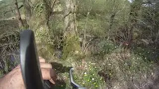 Walking the old wolf Take two