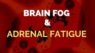 Brain Fog and Adrenal Fatigue