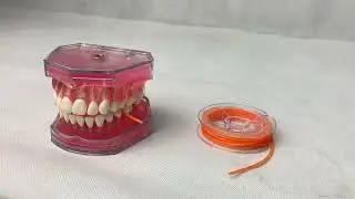 Cordón estabilizador elástico Stabilizing cord Ehros - BIOTECH LTDA #END3572