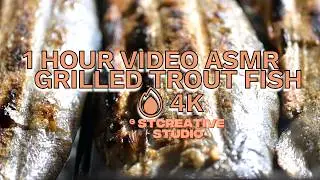 ASMR Grilled Trout 🐟🔥 Relaxing BBQ Sounds | Sizzling Fish on Grill (No Talking, 1 Hour)