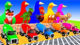5 Giant Duck Cartoon,Tiger,Cow,Zebra,Sheep,Pig,Chicken,Dog,Cat Wild Animals Crossing Fountain 2023