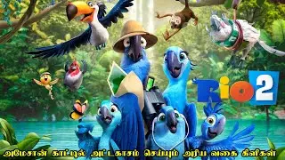 அமேசான் காட்டில் அட்டகாசம் செய்யும் கிளிகள் | பாகம் 2 | Film Feathers | Movie Explained in Tamil
