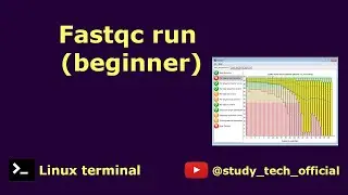 Fastqc run