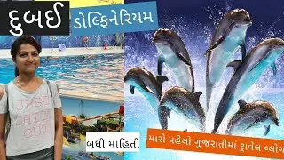 દુબઈ ડોલ્ફિનેરિયમ ગુજરાતીમાં વ્લોગ | Dubai Dolphinarium | Gujarati Vlog | Dubai Kids attraction