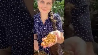 Радоваться моментам