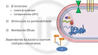 Carbapenêmicos na UTI