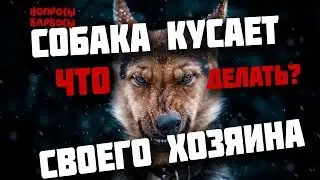 Делай это и будешь лидером для своей собаки!