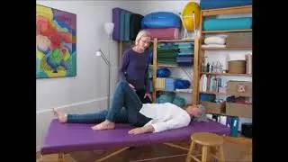 Myth Buster on Core Strength! Flexors and Extensors with Sandra Bradshaw, Feldenkrais Practitioner