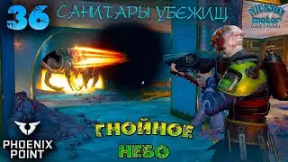 Phoenix Point. Гнойное Небо. 36. Санитары Убежищ. Легенда. Патч Behemoth.